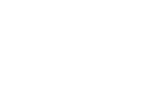 دليل، Dleel، متجر يستخدم ثيم سيليا على سلة